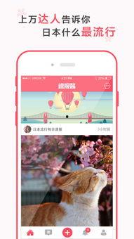 吃瓜酱娱乐速报,娱乐圈最新热点，一网打尽！