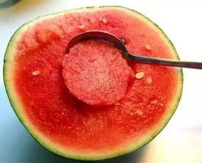 娱乐吃瓜酱花期,揭秘明星幕后故事