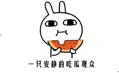 吃瓜是啥意思,网络热词背后的文化现象