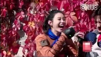 吃瓜娱乐圈奚梦瑶,娱乐圈的瓜田漫步