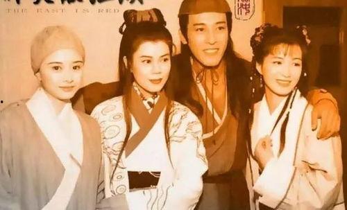 娱乐圈吃瓜三人组小说