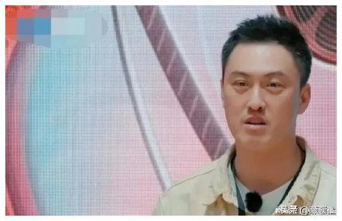 娱乐圈吃瓜爆料怎么拍,吃瓜爆料背后的真相与幕后故事