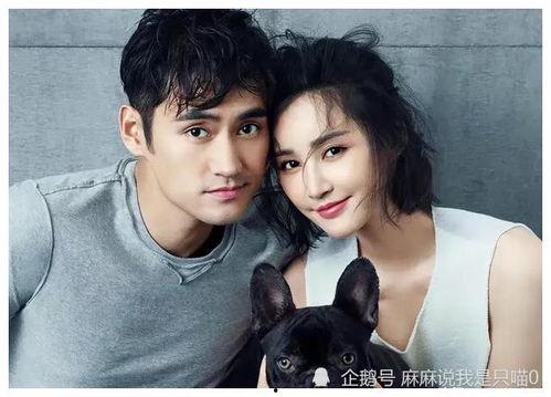 明星娱乐吃瓜君是谁啊